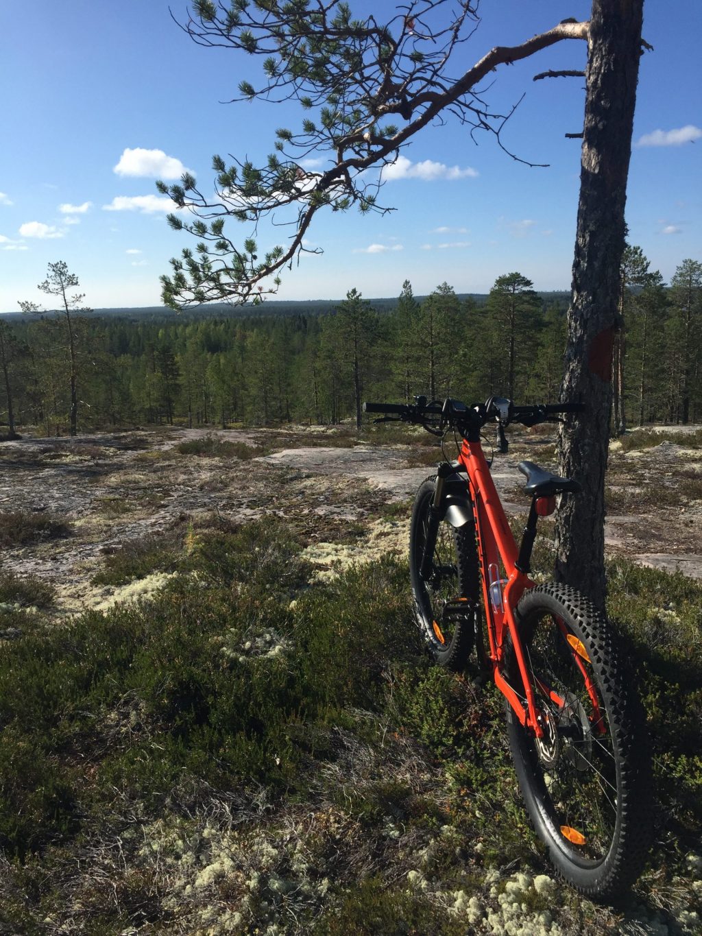 Maastopyörä Akkovaaran huipulla. Taustalla kesäinen maisema.