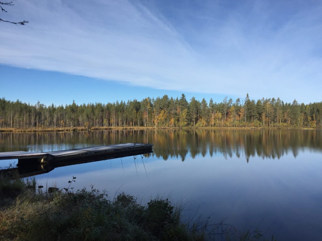 Ruuhijärven laituri kesäisessä säässä.