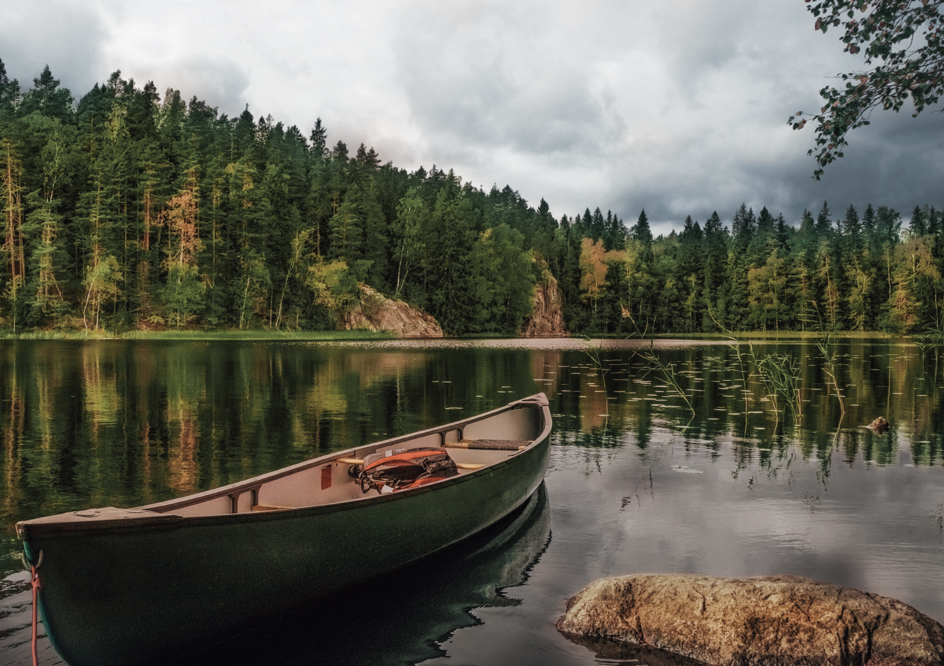 Vene ja metsäinen järvimaisema