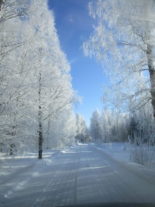 Kuurainen pihatie