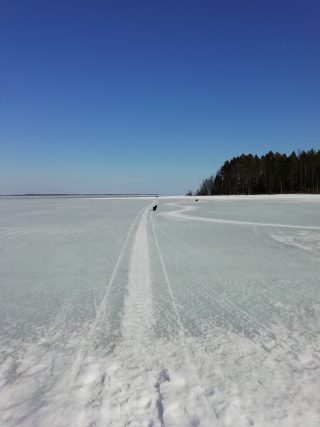 Oulujärven jäällä