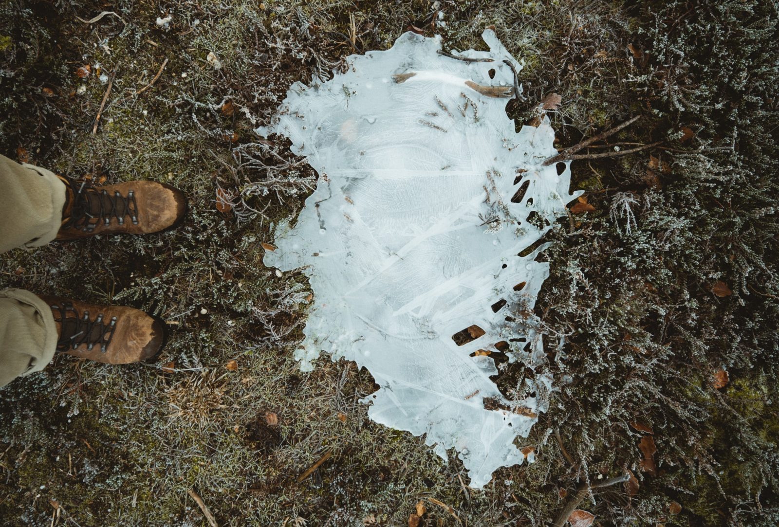 Kuvassa sammaleinen ja jäinen maa. Myös kuvaajan kengät näkyvät.