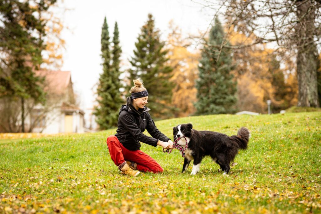 A young woman playing with a dog.