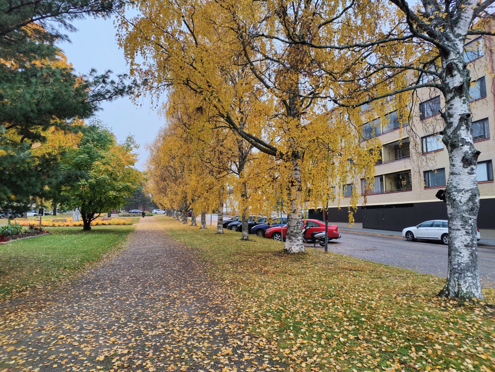 Kajaanin Veteraanipuisto