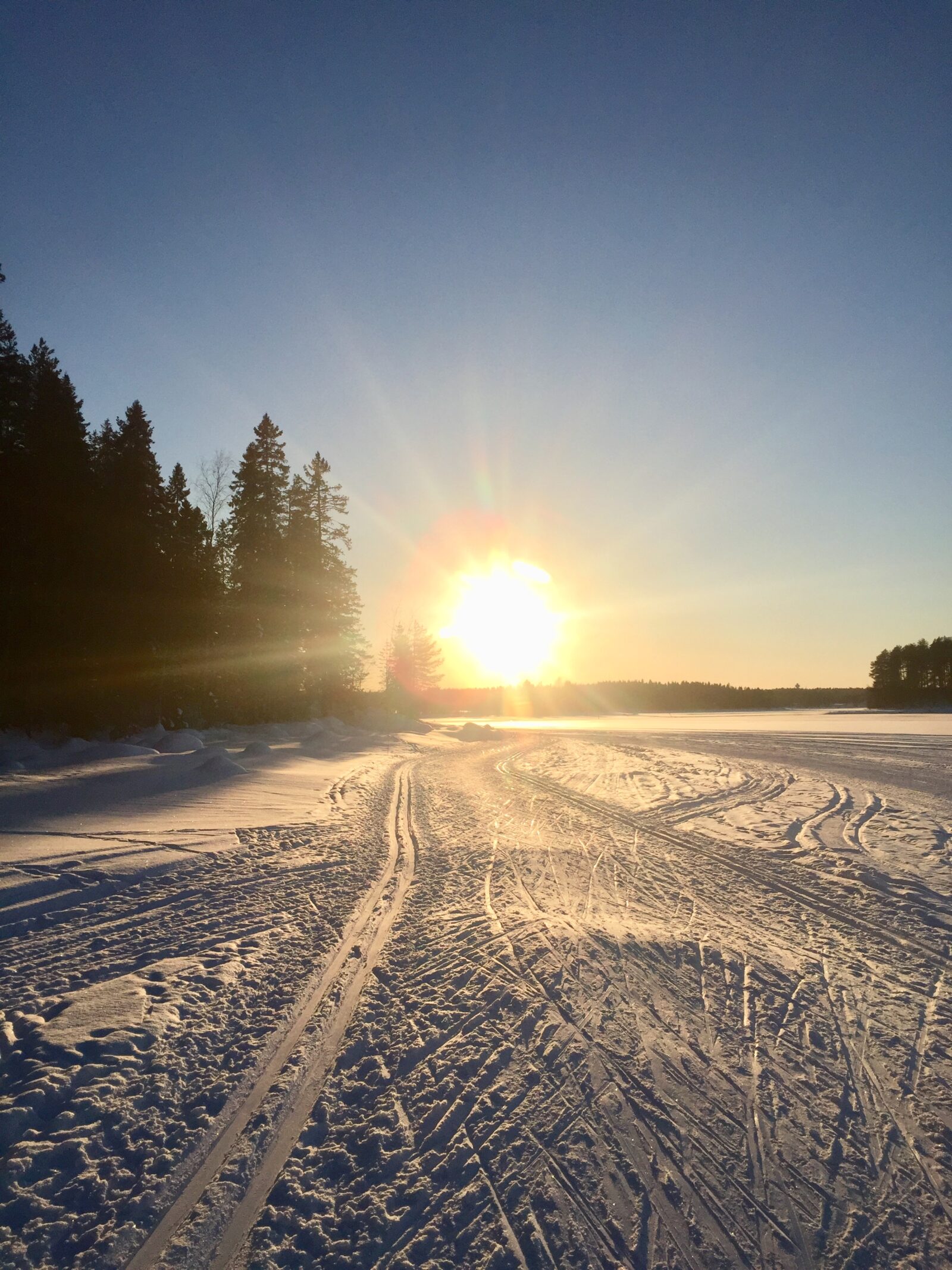 Aurinkoinen keli Rehjan jääladulla