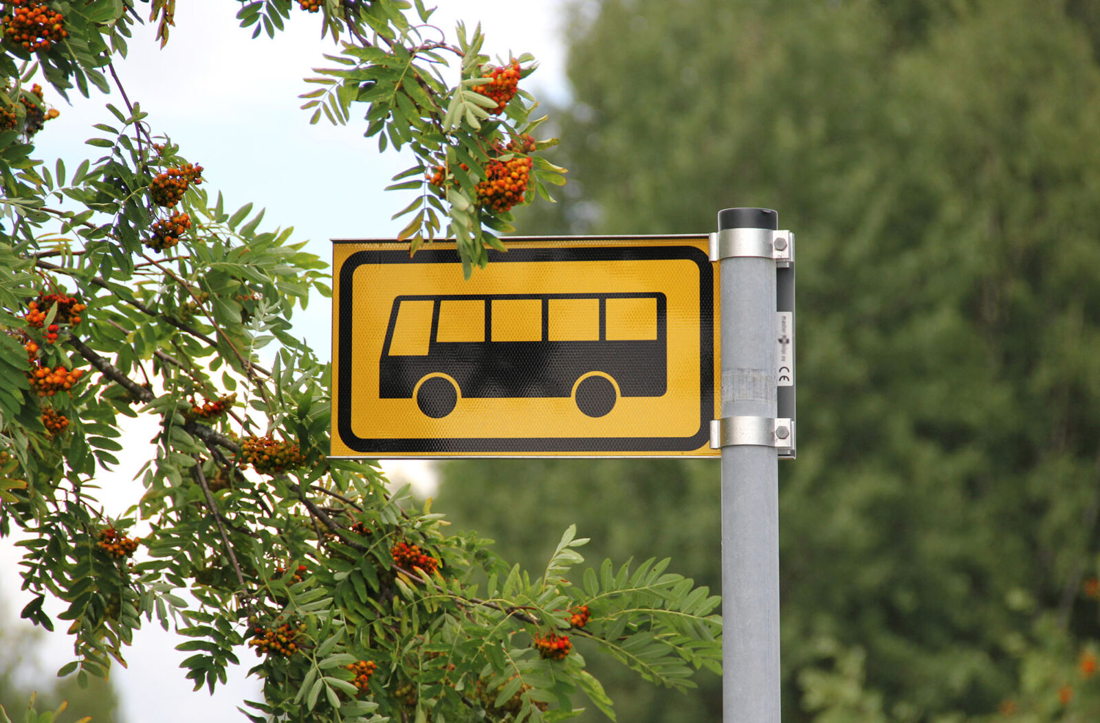 Bussipysäkki elokuun maisemassa.