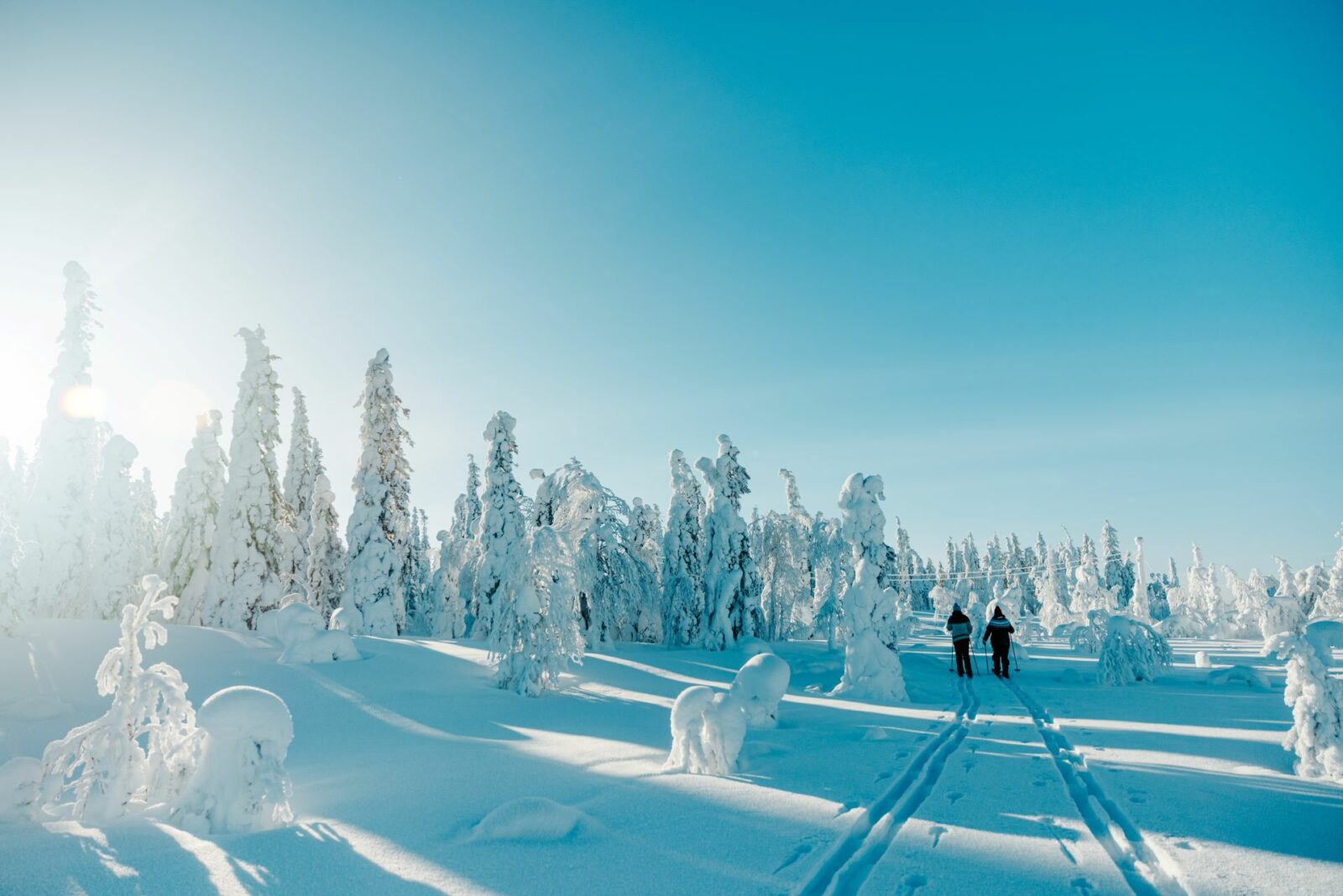 Hiihtäjät talvisessa metsässä