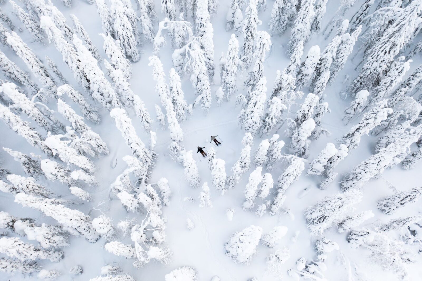 Ilmakuva lumisesta metsästä, jossa näkyy kaksi ihmistä